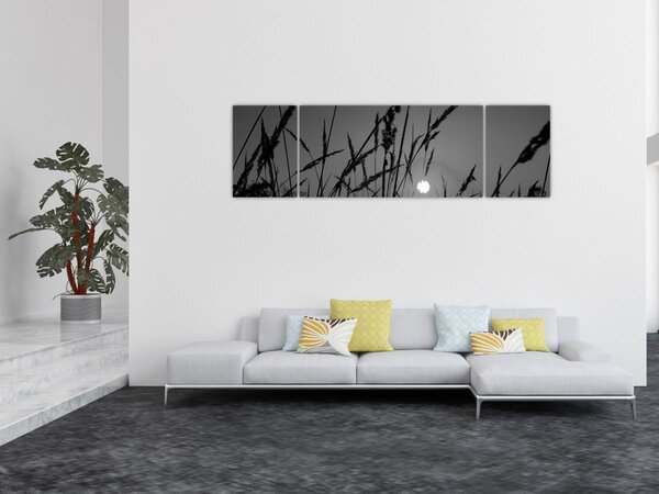 Obraz - Louka se západem slunce (170x50 cm)