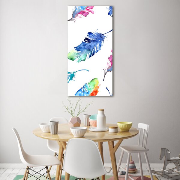 Vertikální Fotoobraz na skle Barevná pírka osv-71055360