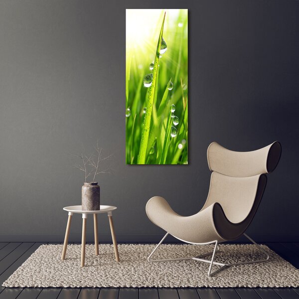 Vertikální Foto obraz canvas Stéblo trávy ocv-71116583