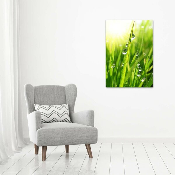 Vertikální Foto obraz canvas Stéblo trávy ocv-71116583