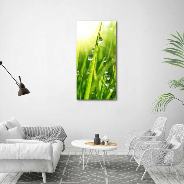 Vertikální Foto obraz canvas Stéblo trávy ocv-71116583