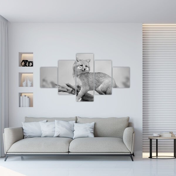 Obraz - Liška šedá (125x70 cm)