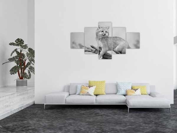 Obraz - Liška šedá (125x70 cm)
