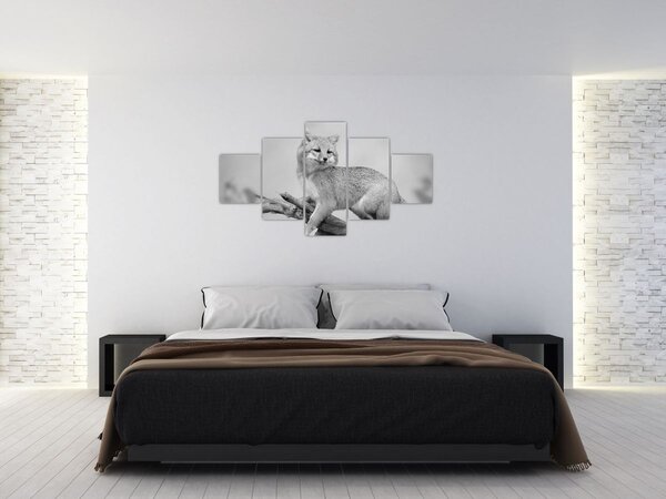 Obraz - Liška šedá (125x70 cm)