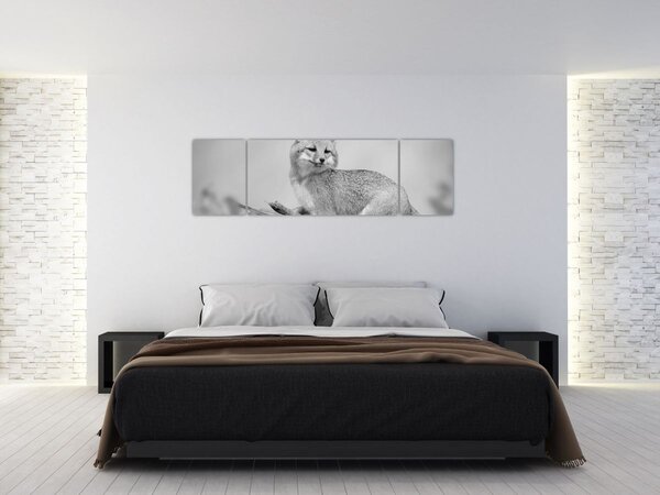 Obraz - Liška šedá (170x50 cm)