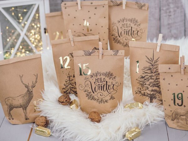Papierdrachen Adventní kalendář DIY - Winter Landscape PPD103