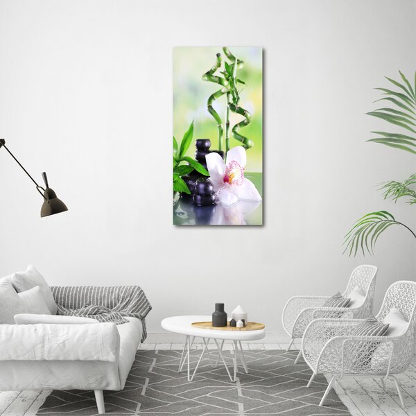 Vertikální Moderní fotoobraz canvas na rámu Bambus ocv-71765924