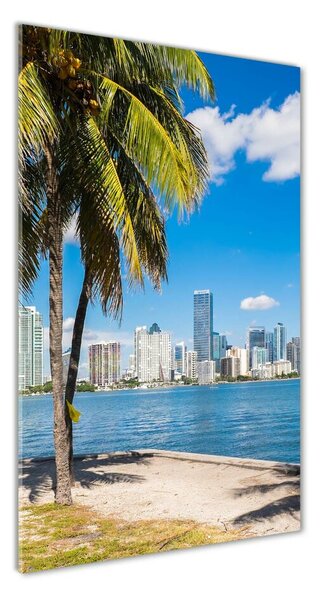 Vertikální Fotoobraz skleněný na stěnu do obýváku Miami osv-73307361