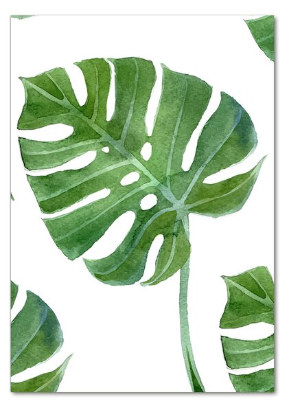 Vertikální Foto-obrah sklo tvrzené Monstera osv-73453998