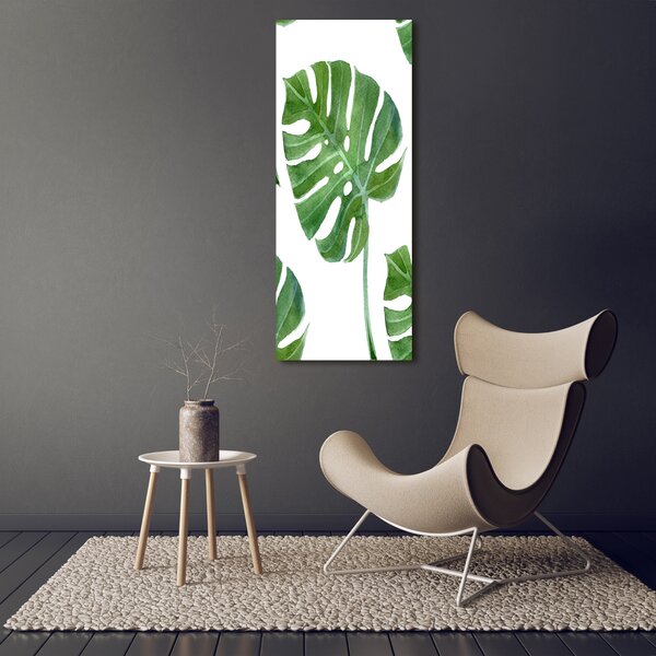 Vertikální Vertikální Foto obraz na plátně do obýváku Monstera ocv-73453998