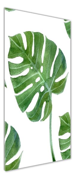 Vertikální Foto-obrah sklo tvrzené Monstera osv-73453998