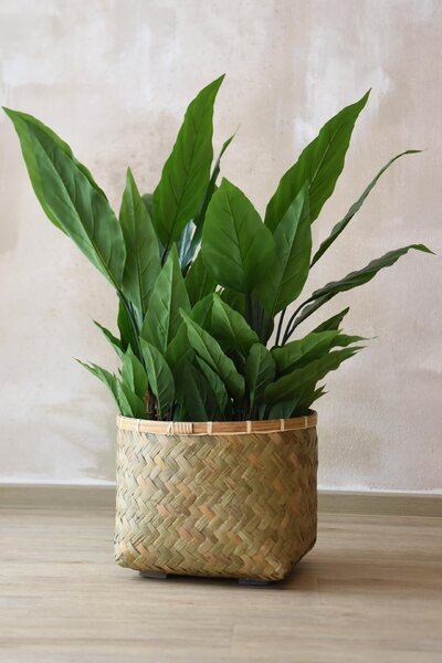 Přírodní obal na květiny CISTELLA, bambus, výška 29 cm, natur