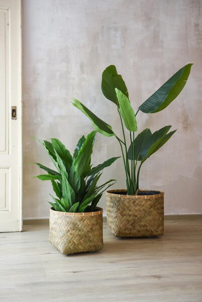 Přírodní obal na květiny CISTELLA, bambus, výška 29 cm, natur