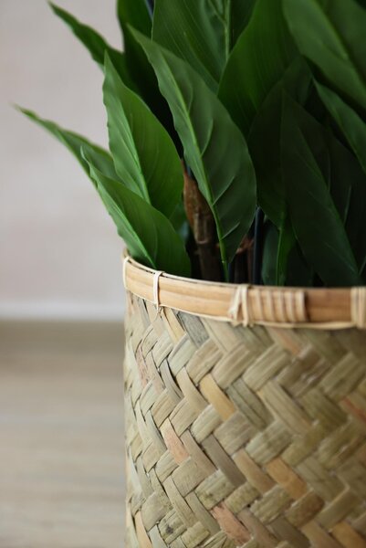 Přírodní obal na květiny CISTELLA, bambus, výška 29 cm, natur