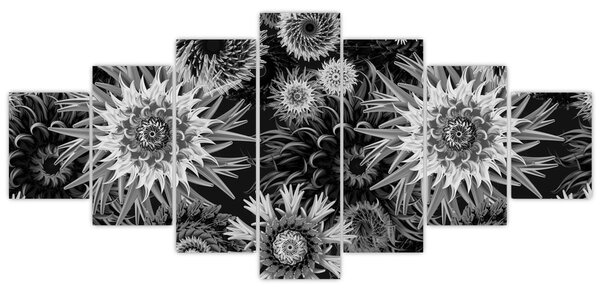 Obraz - Černobílé bodláky (210x100 cm)