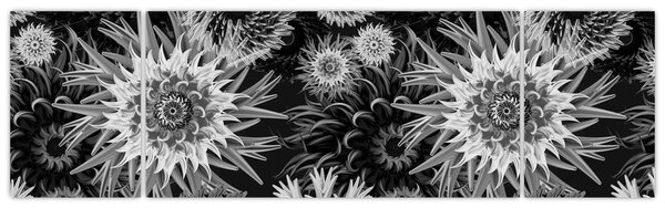 Obraz - Černobílé bodláky (170x50 cm)