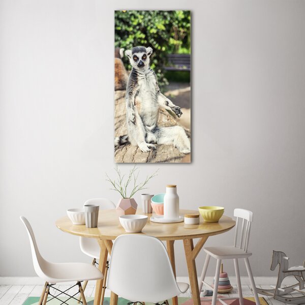 Vertikální Fotoobraz skleněný na stěnu do obýváku Lemur osv-75982744