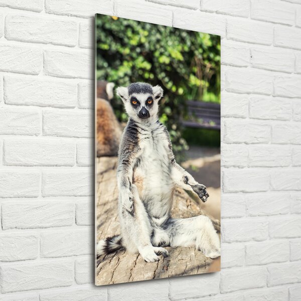 Vertikální Fotoobraz skleněný na stěnu do obýváku Lemur osv-75982744