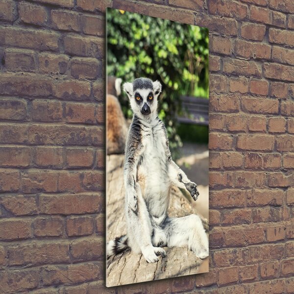Vertikální Fotoobraz skleněný na stěnu do obýváku Lemur osv-75982744