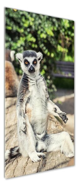 Vertikální Fotoobraz skleněný na stěnu do obýváku Lemur osv-75982744