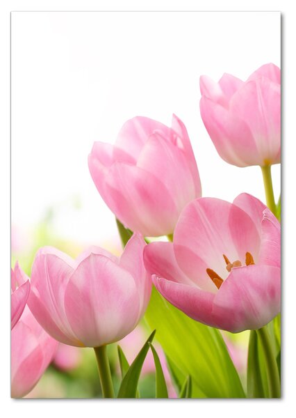 Vertikální Fotoobraz na skle Růžové tulipány osv-76412458