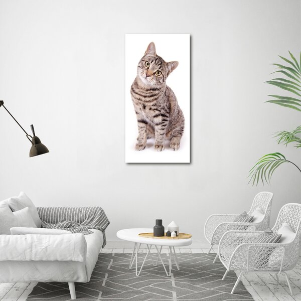 Vertikální Foto obraz canvas Kocour ocv-78018175