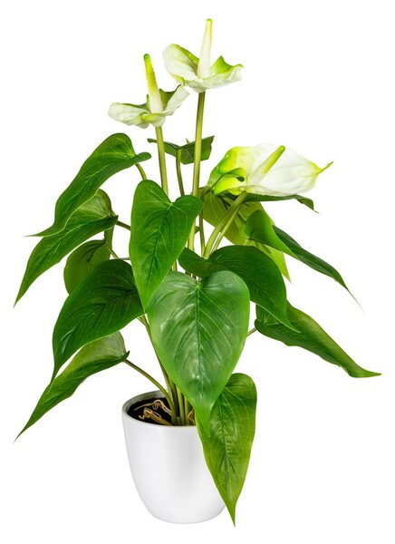 Umělá květina Anthurium bílá v květináči, 40cm