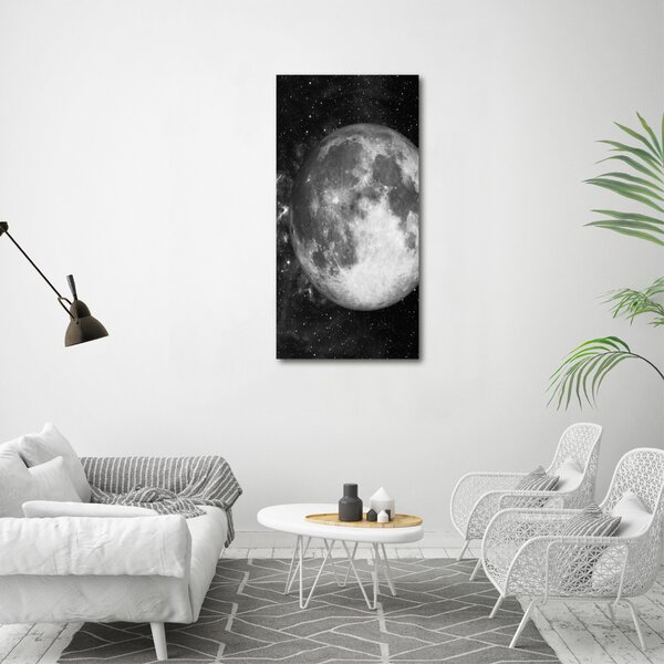 Vertikální Moderní obraz canvas na rámu Měsíc ocv-79513509