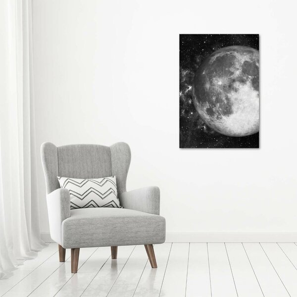 Vertikální Moderní obraz canvas na rámu Měsíc ocv-79513509