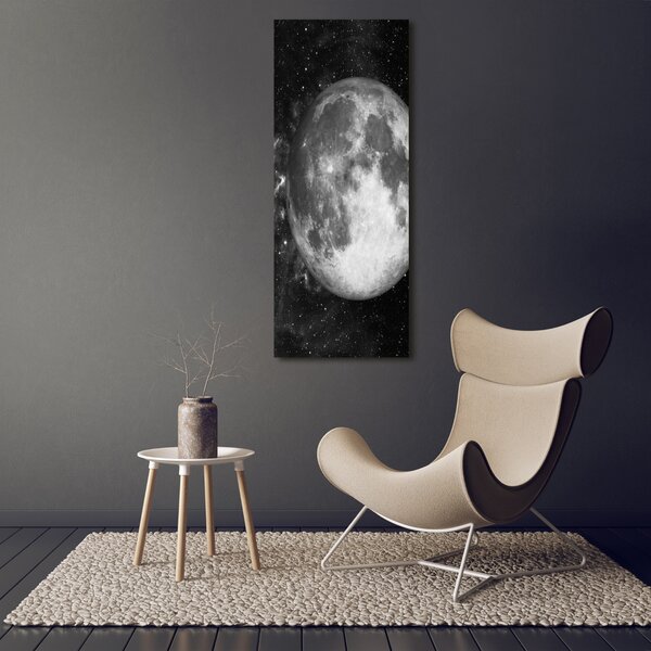 Vertikální Moderní obraz canvas na rámu Měsíc ocv-79513509