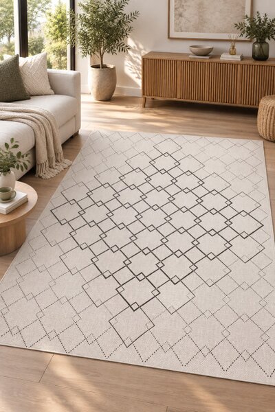 Koberec LINEO 8913/9H01