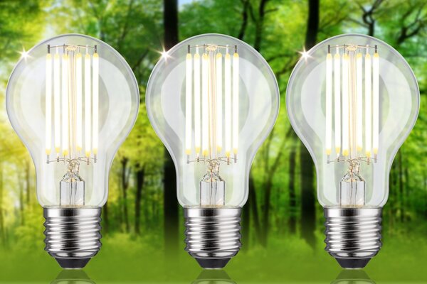 P 29220 Eco-Line Filament 230V LED žárovka E27 3ks-sada 5W 3000K čirá - PAULMANN
