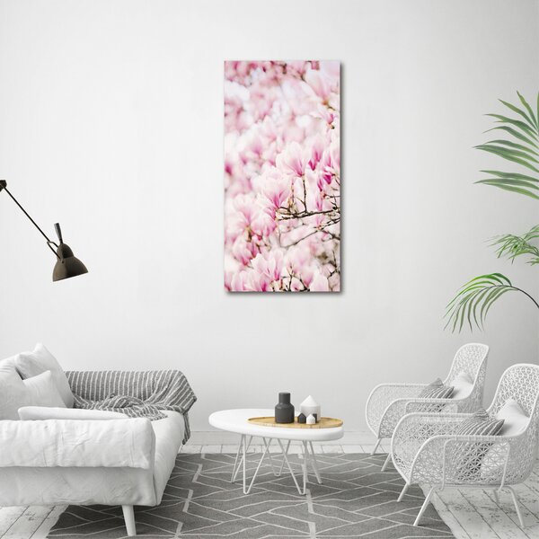 Vertikální Foto obraz na plátně Květy magnolie ocv-81680689