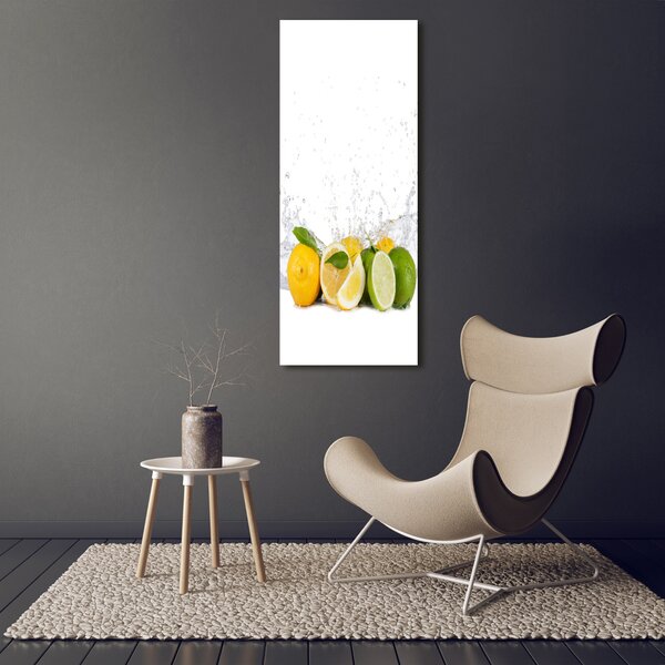 Vertikální Moderní obraz canvas na rámu Citrusy ocv-81760914