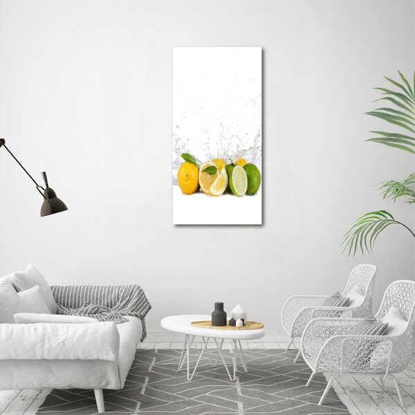 Vertikální Moderní obraz canvas na rámu Citrusy ocv-81760914