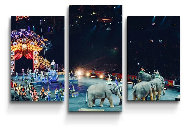Sablio Obraz - 3-dílný Cirkus - 75x50 cm