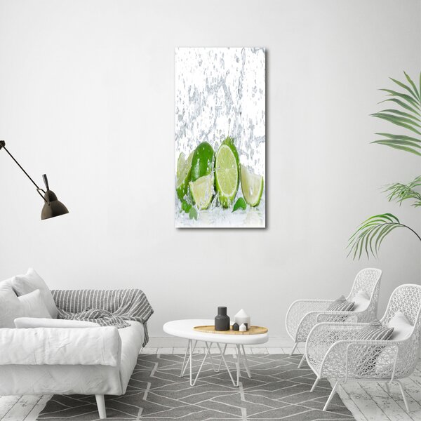 Vertikální Moderní obraz canvas na rámu Limetka ocv-82343730