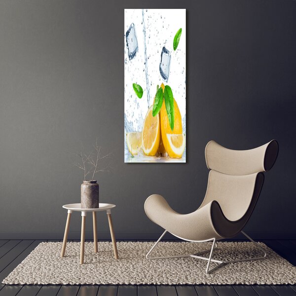 Vertikální Foto obraz na plátně Citron a led ocv-82344620