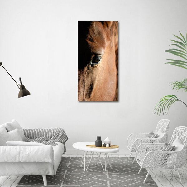 Vertikální Foto obraz canvas Kůň ocv-8260675