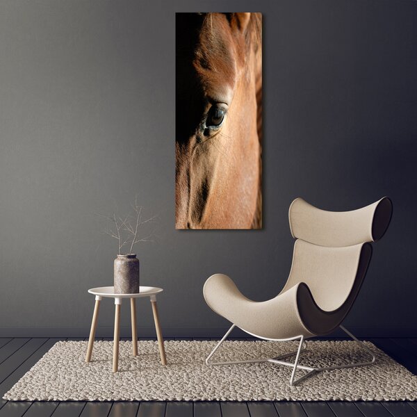 Vertikální Foto obraz canvas Kůň ocv-8260675