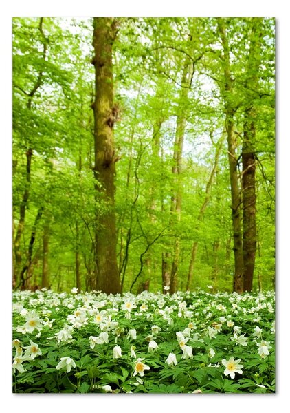 Vertikální Foto obraz fotografie na skle Květy v leze osv-83235444