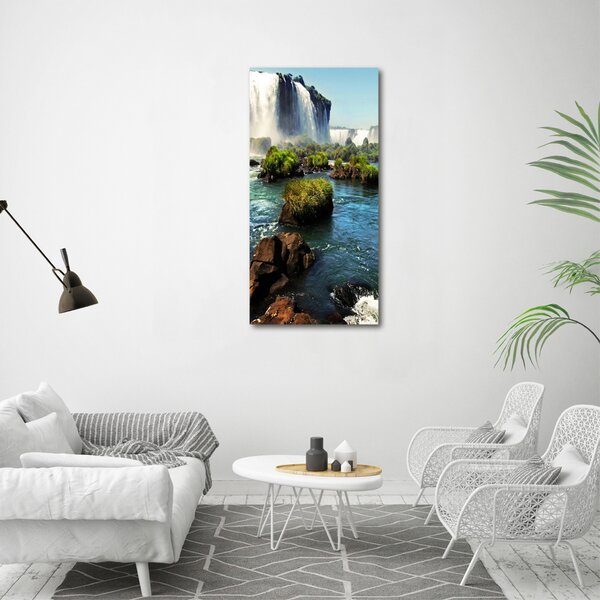 Vertikální Foto obraz canvas Vodopád Igazu ocv-83377998