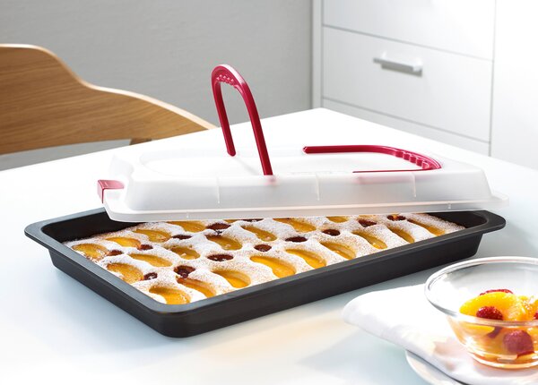 PLECH NA PEČENÍ 29/42/4 cm Dr.Oetker
