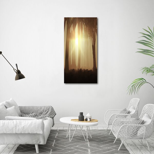 Vertikální Foto obraz canvas Mlha v lese ocv-84176608
