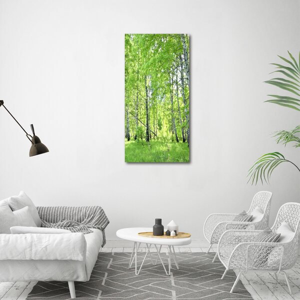 Vertikální Foto obraz canvas Břízový les ocv-84161730