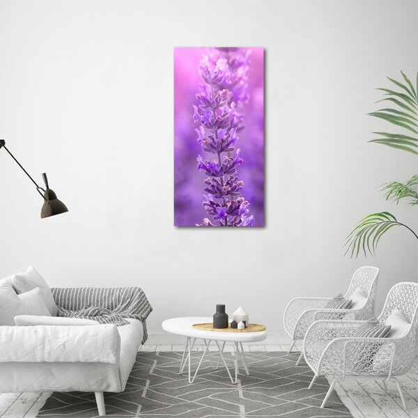 Vertikální Foto obraz canvas Pole levandule ocv-84232090