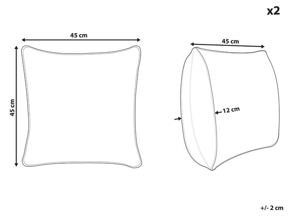 Sada 2 dekorativních polštářů TAMNINE 45 x 45 cm Světle zelená Kostkovaný vzor