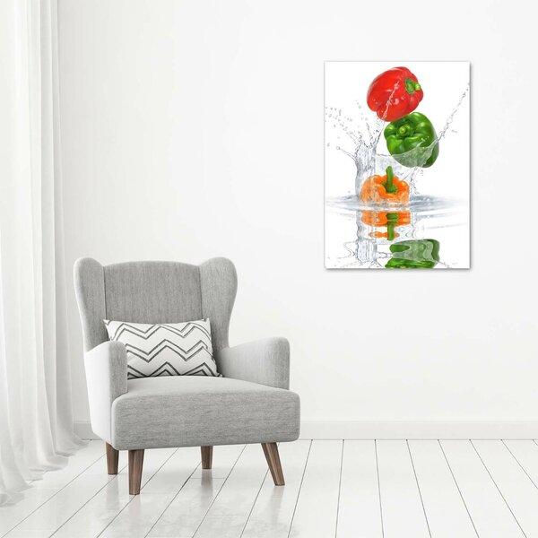 Vertikální Moderní obraz canvas na rámu Paprika ocv-84500695