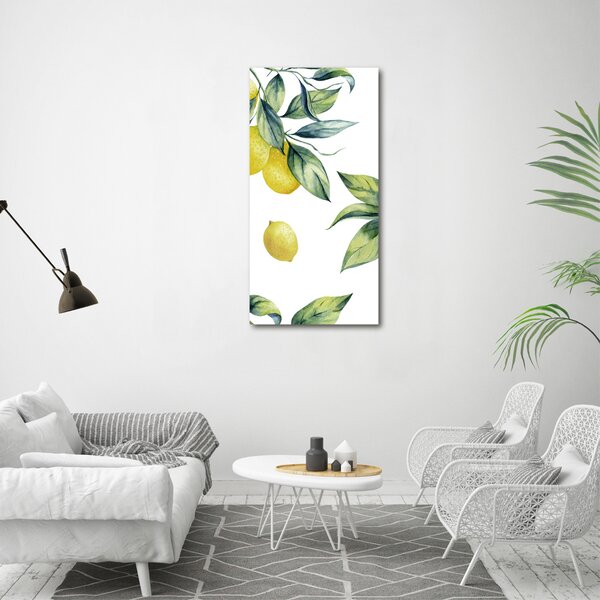 Vertikální Moderní obraz canvas na rámu Citrony ocv-85316646