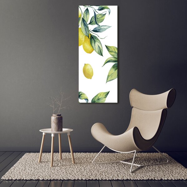 Vertikální Moderní obraz canvas na rámu Citrony ocv-85316646